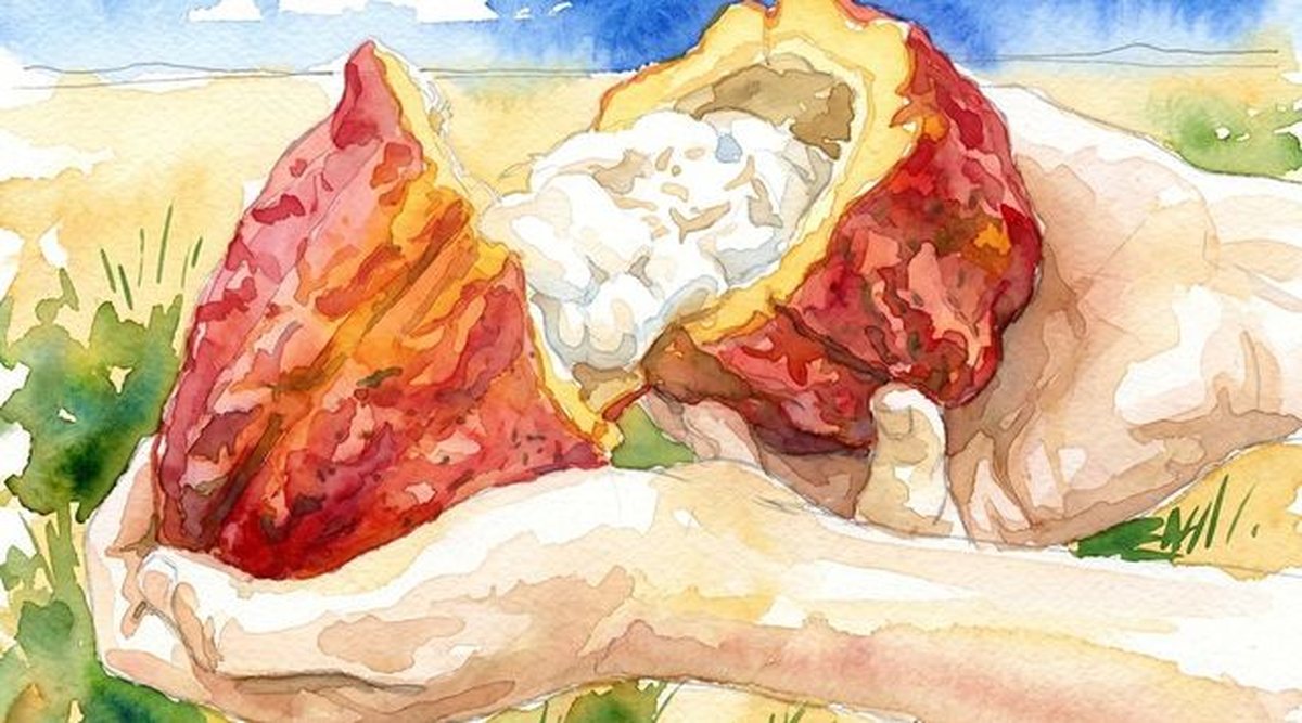 Aquarela: mãos segurando um fruto de cacau aberto, com a polpa branca à mostra, em meio à lavoura.
